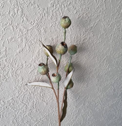 Eucalyptus bærgren