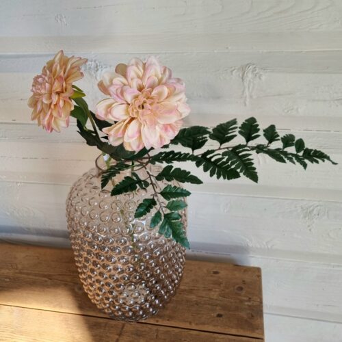 Zinnia fin sart rosa – flot blomsterstilk