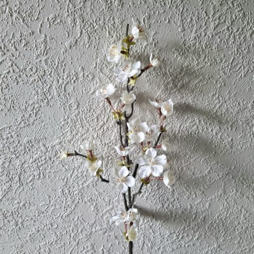 Kirsebær gren med fine hvide blomster