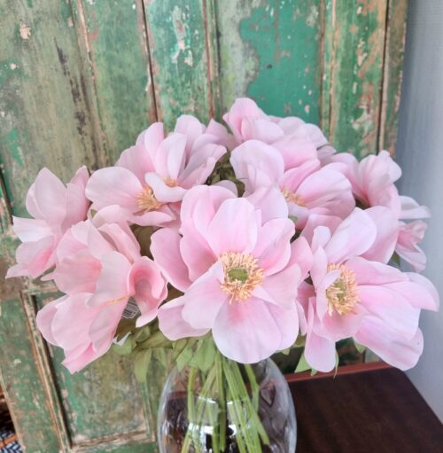 Anemone lyserød