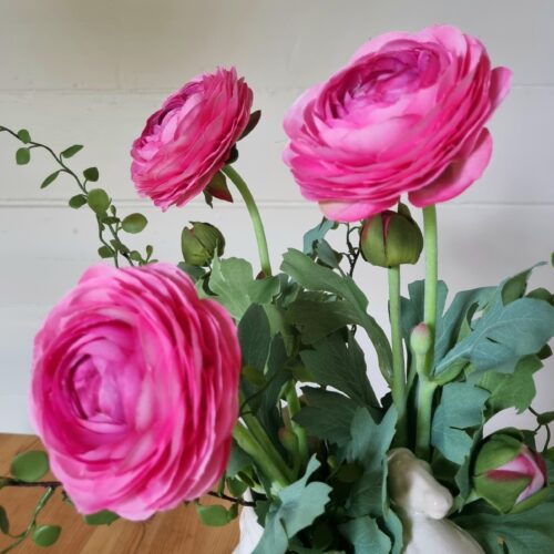 Ranunkel pink