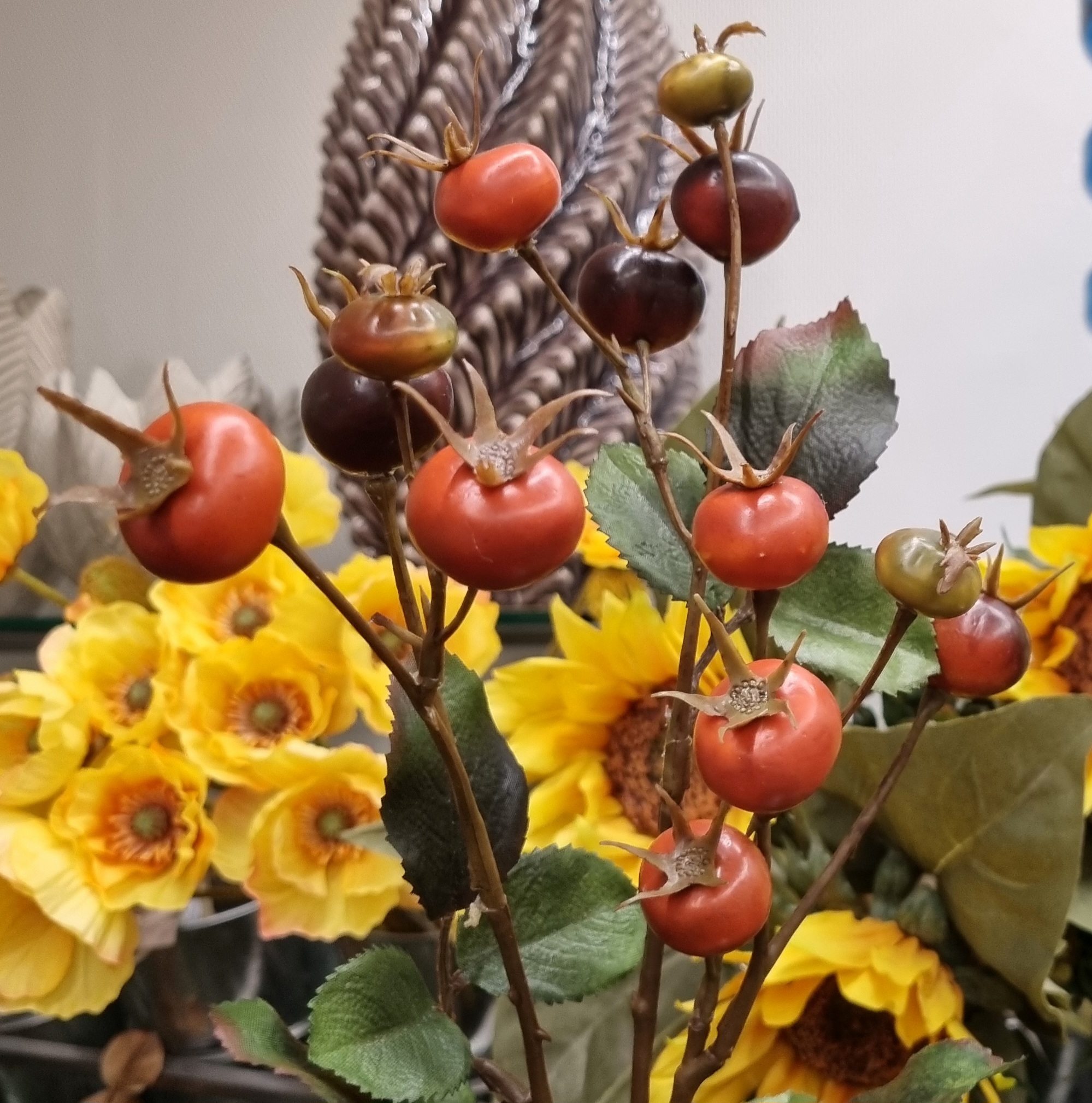 Flotte Hybenbær grene med smukke mørke bær