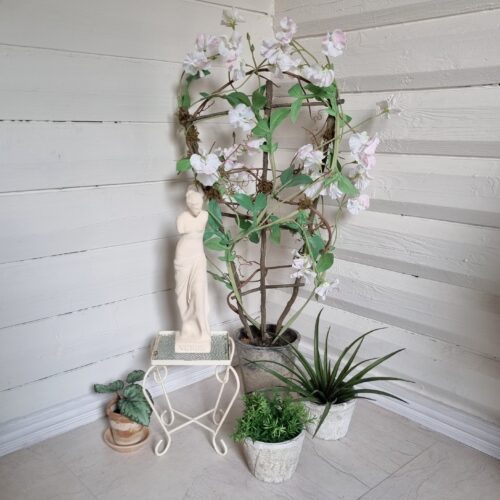 Smukke blomster og planter....