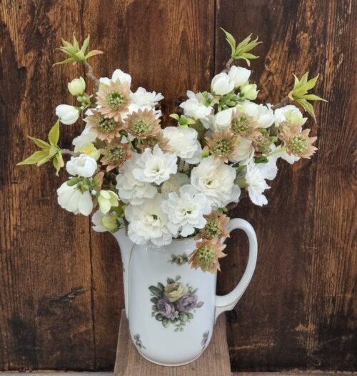 Smukke blomster og grene i den gamle mælkekande....