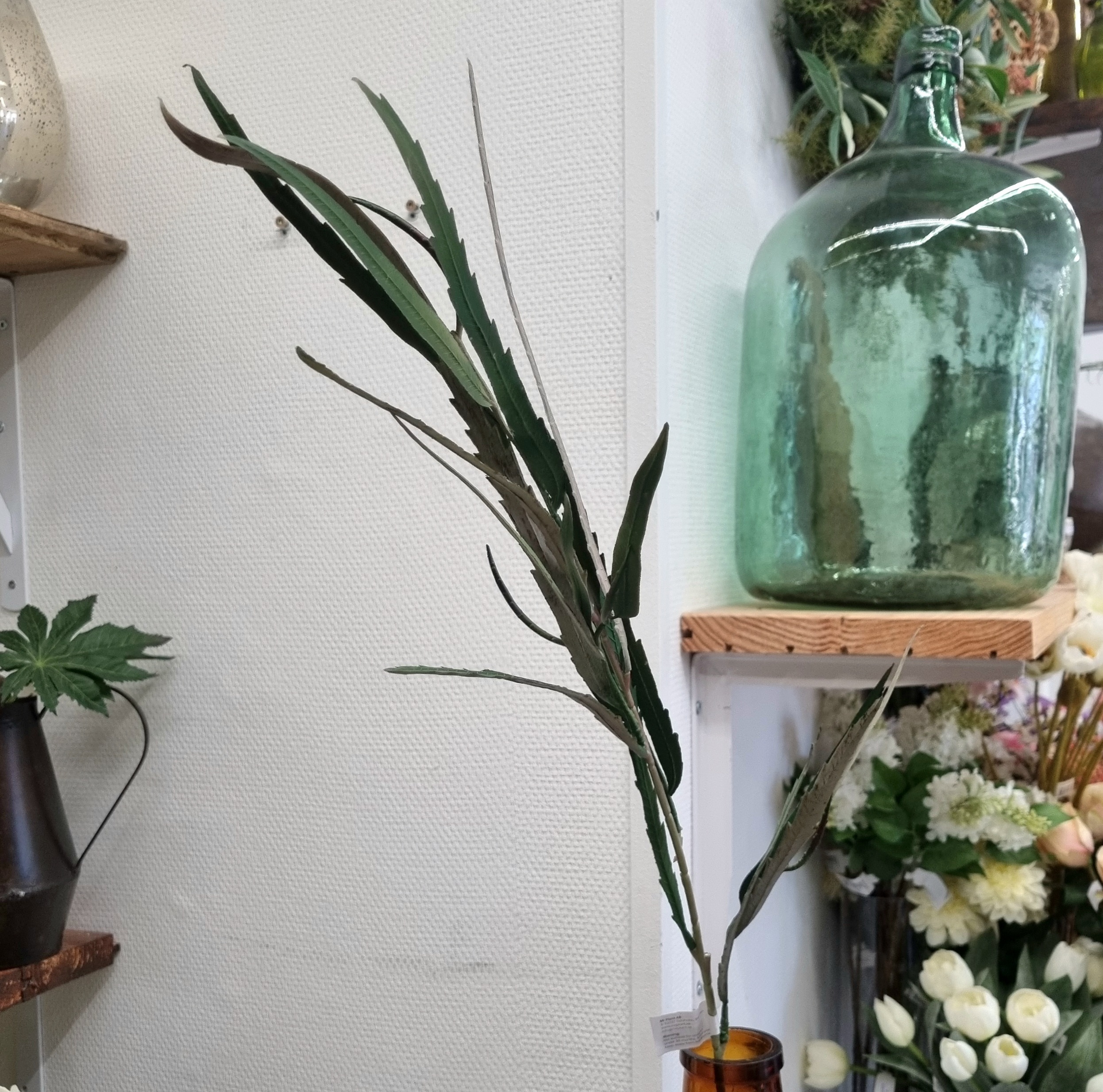 Grevillea gren - flot flerfarvet