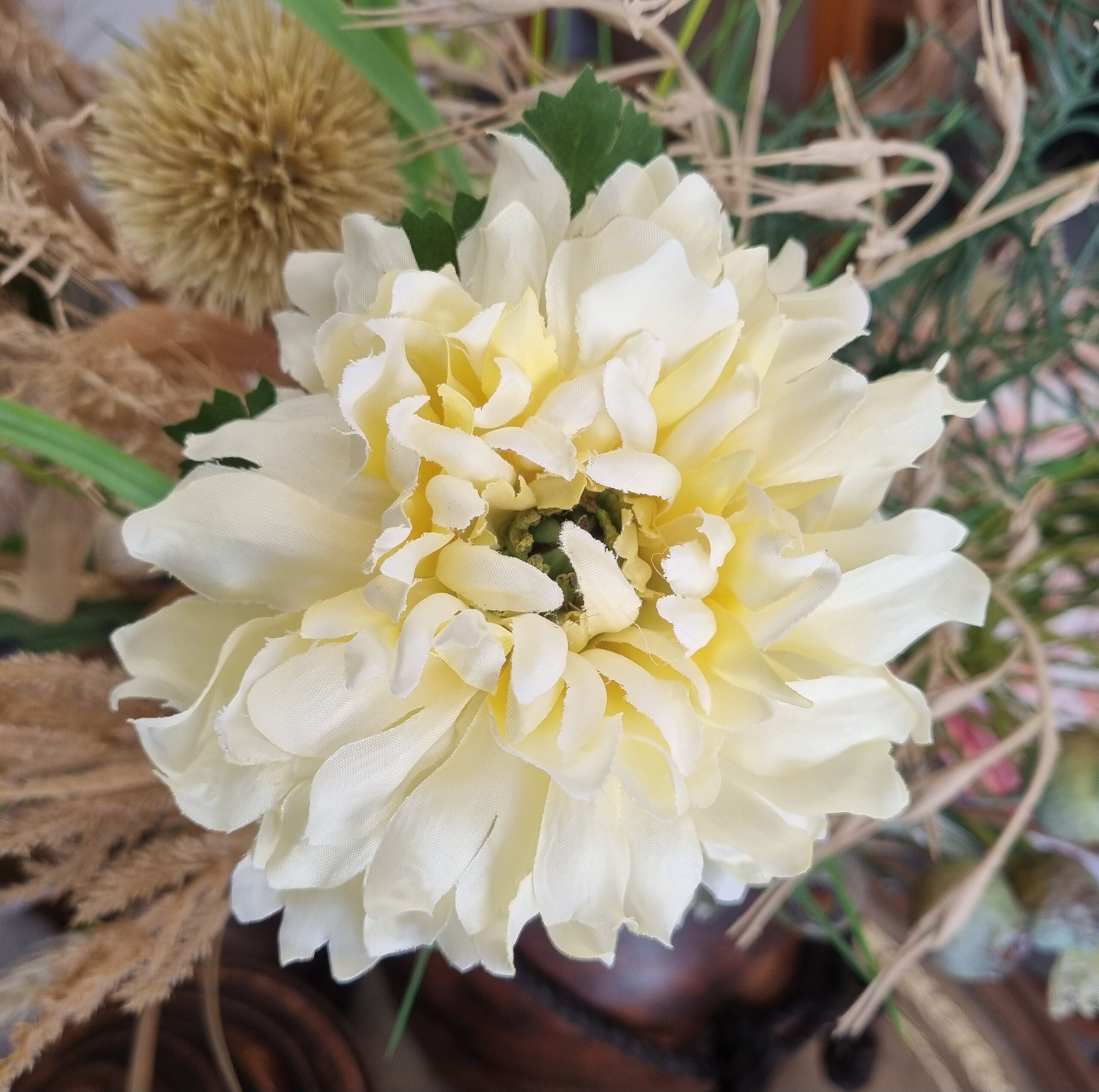 Ranunkel pastelgul med stort pjusket hoved