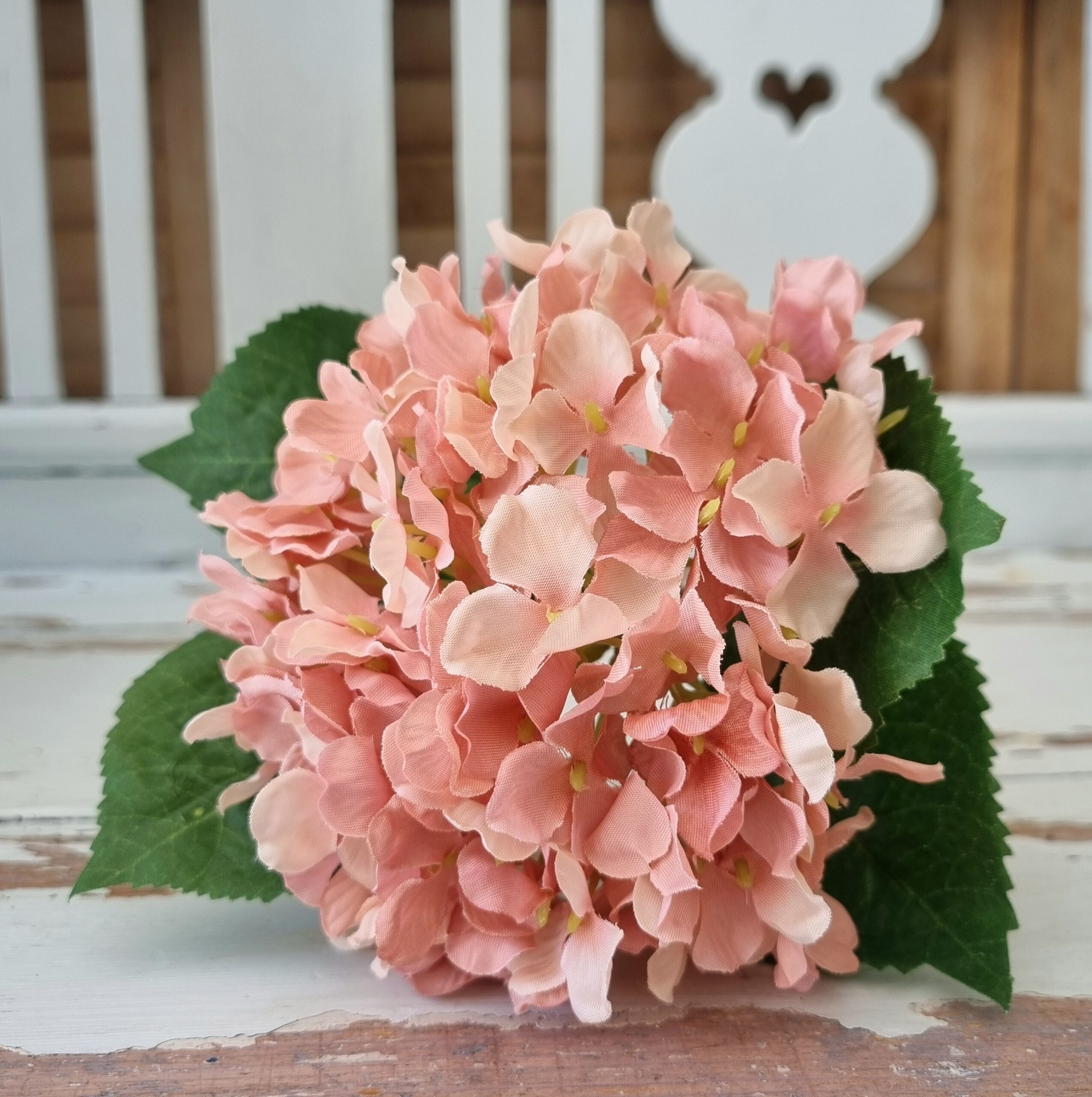 Hortensia rosa - stort flot blomster hoved