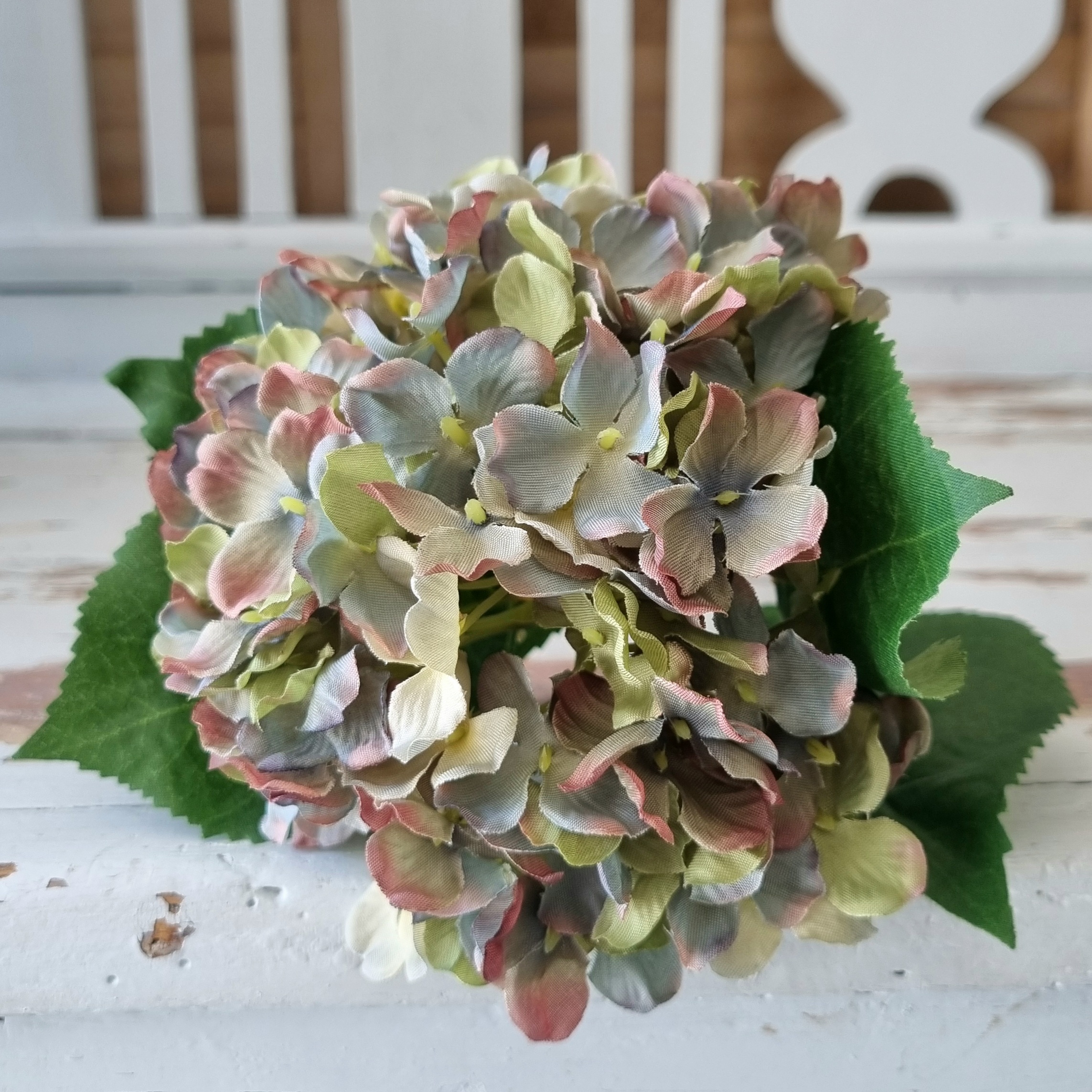 Hortensia blå/lilla flot stort blomster hoved