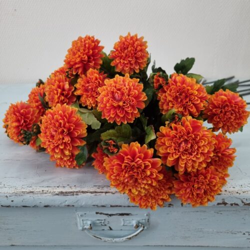 Krysantemum orange 2-grenet blomst