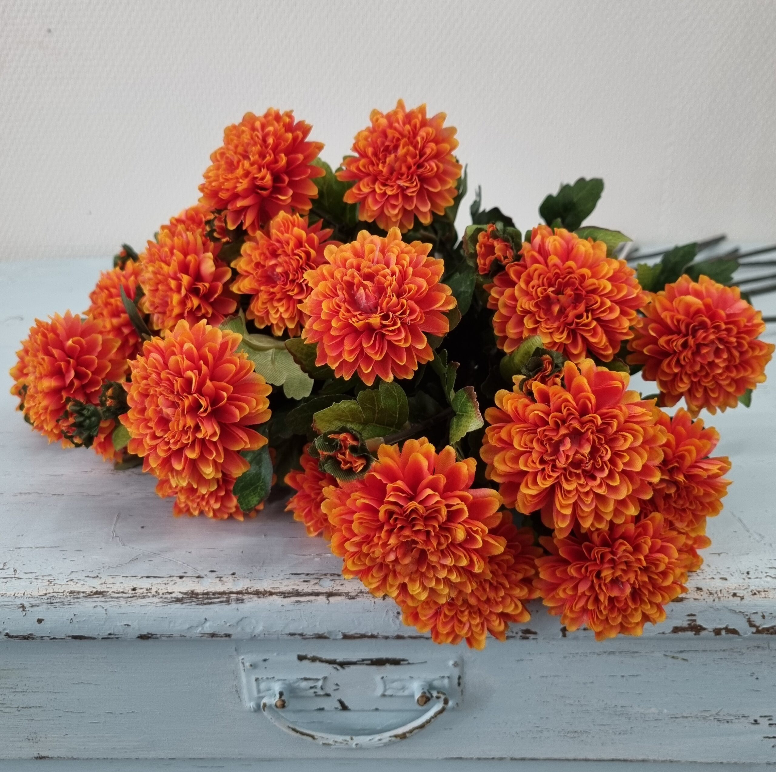 Krysantemum orange blomst - flot 2-grenet