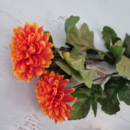 Krysantemum orange 2-grenet blomst