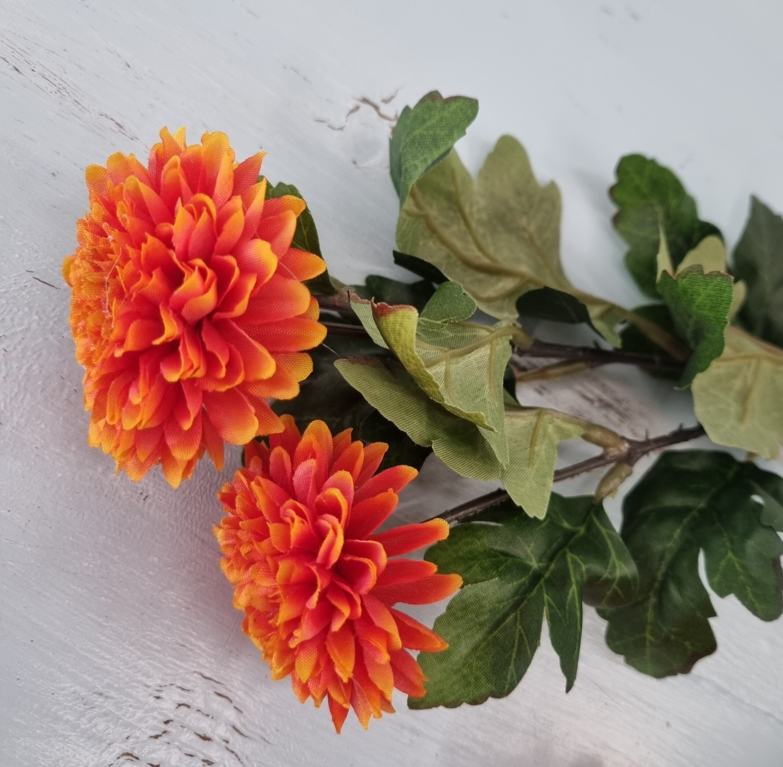 Krysantemum orange - flot 2-grenet blomst