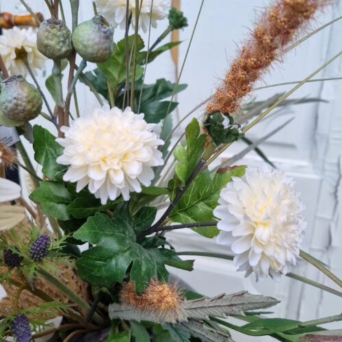 Krysantemum creme 2-grenet blomst