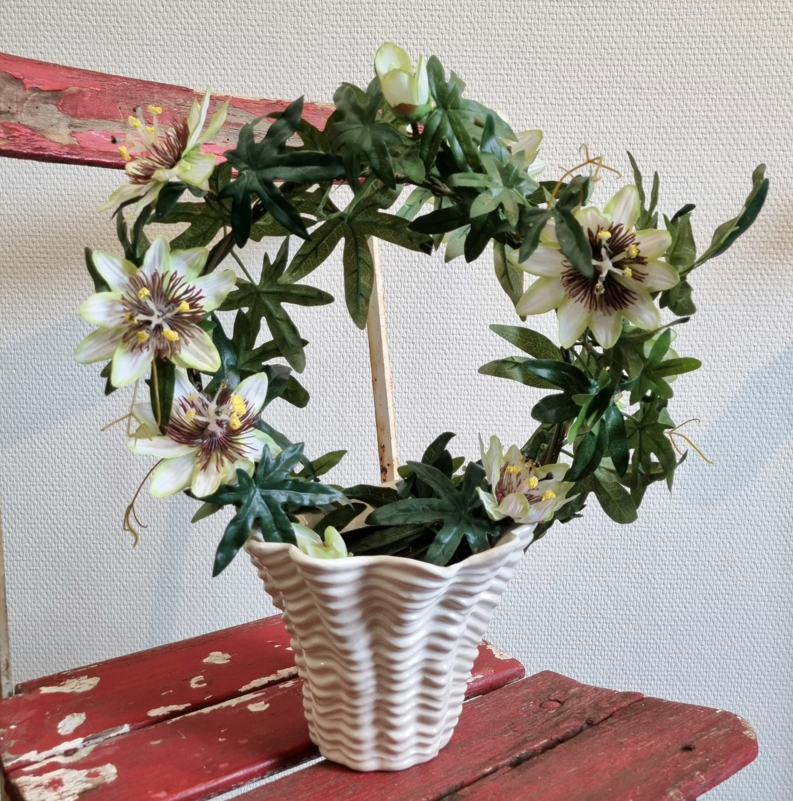 Passionsblomst hvid på bøjle - Passiflora