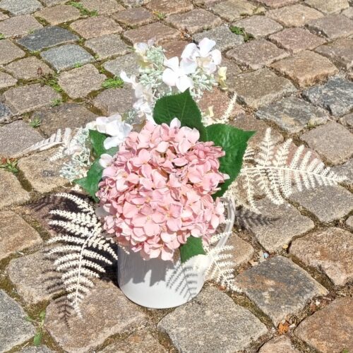 Hortensia lyserød – stort flot blomster hoved