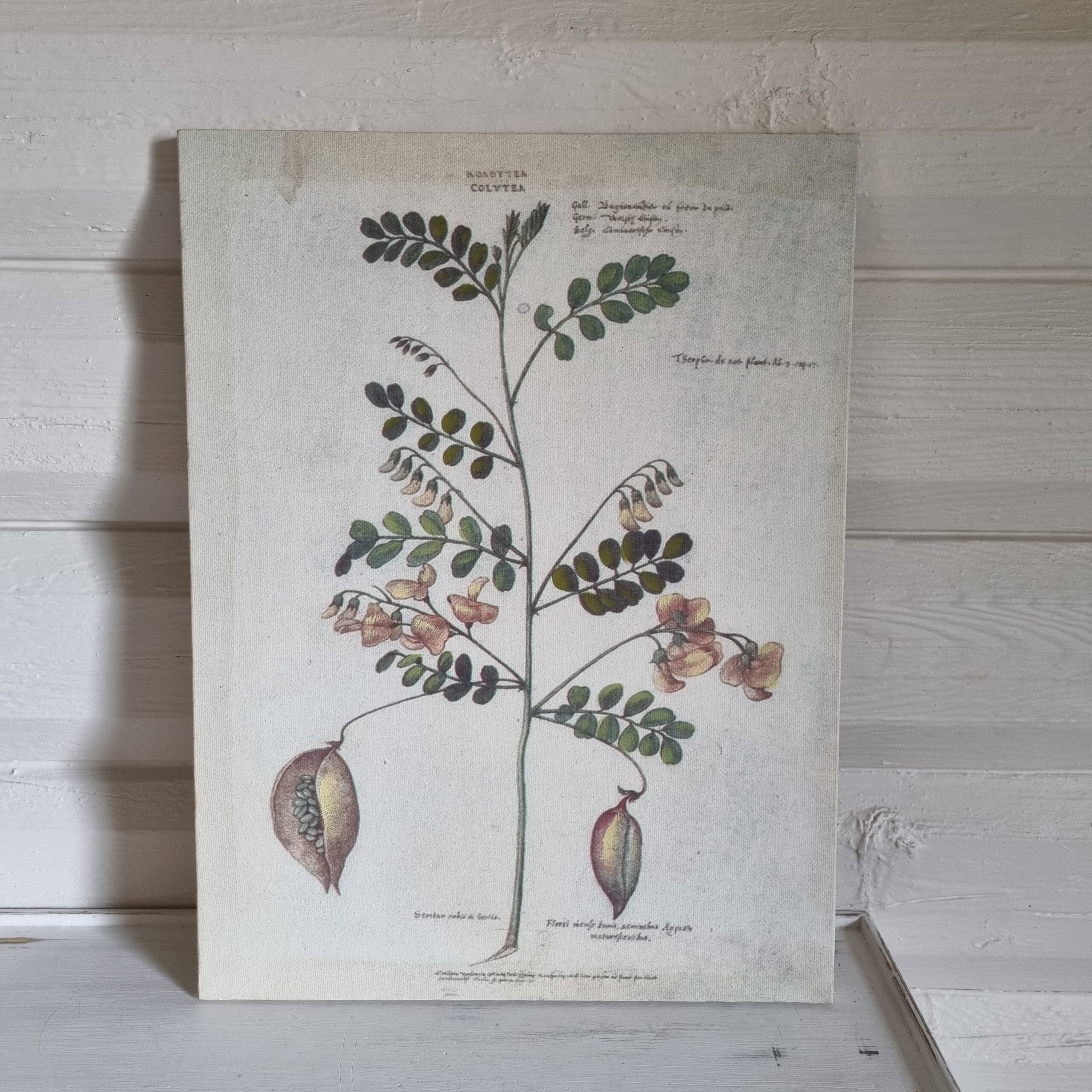 Dekorativt billede med motiv af plante