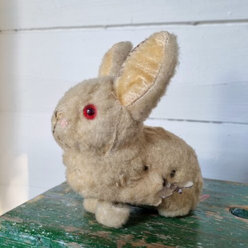 Den sødeste gamle kanin med optræk som virker