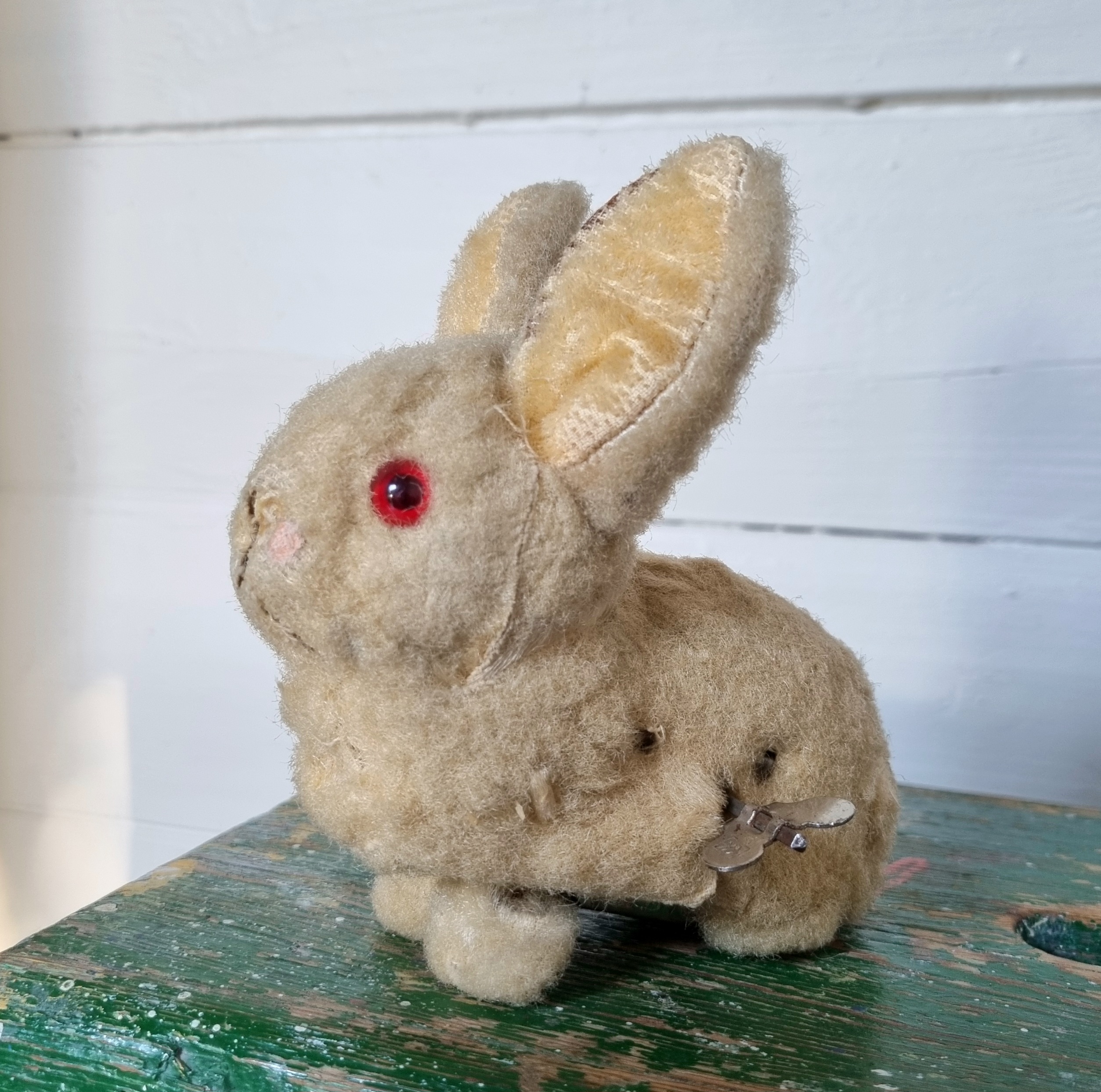 Den sødeste gamle kanin med optræk