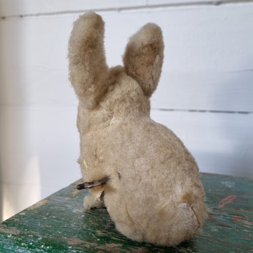 Den sødeste gamle kanin med optræk som virker