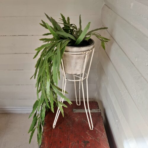 Fint potte stativ i jern til en flot plante