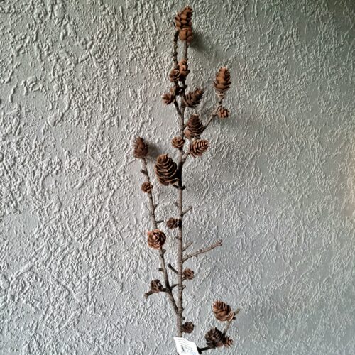 Flot rustik koglegren  – 65 cm