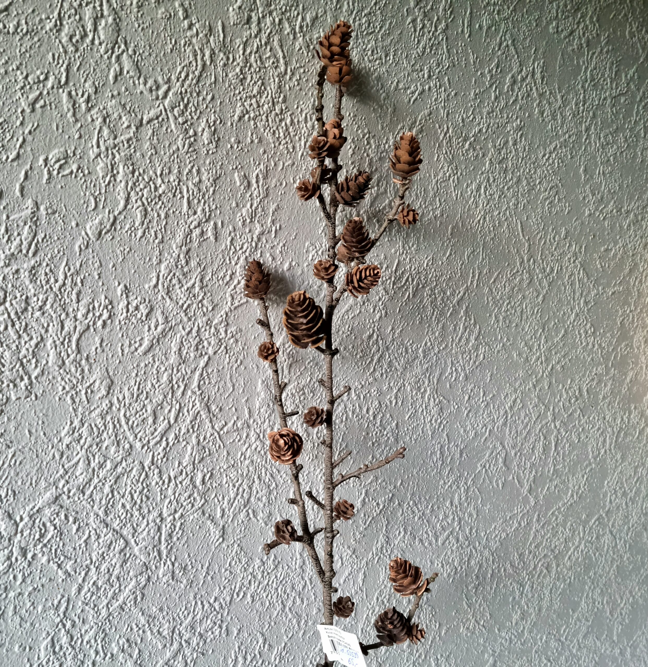 Flot rustik koglegren - 65 cm