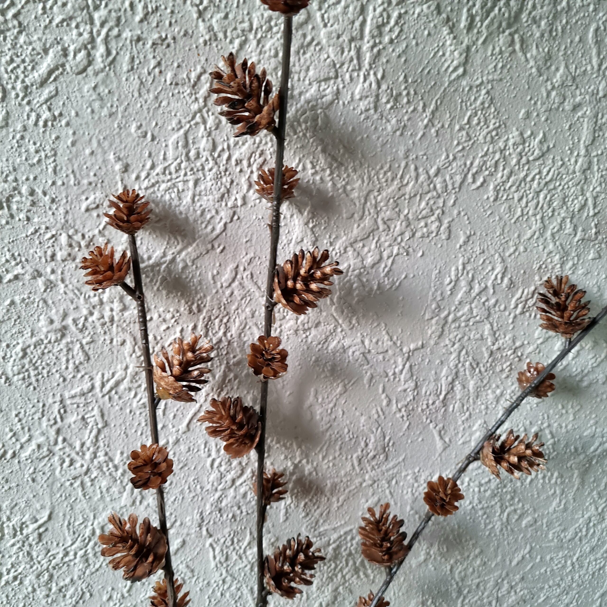 Flot 3-grenet rustik koglegren - 85 cm