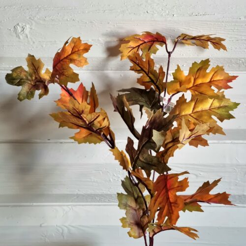 Smuk efterårs gren med skønne blade – flergrenet og fyldig