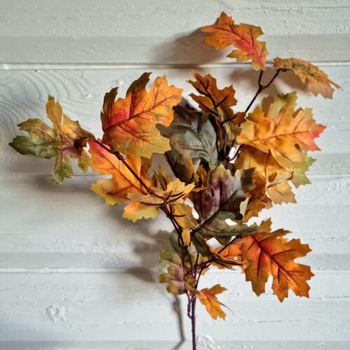 Smuk efterårs gren med skønne blade – flergrenet og fyldig