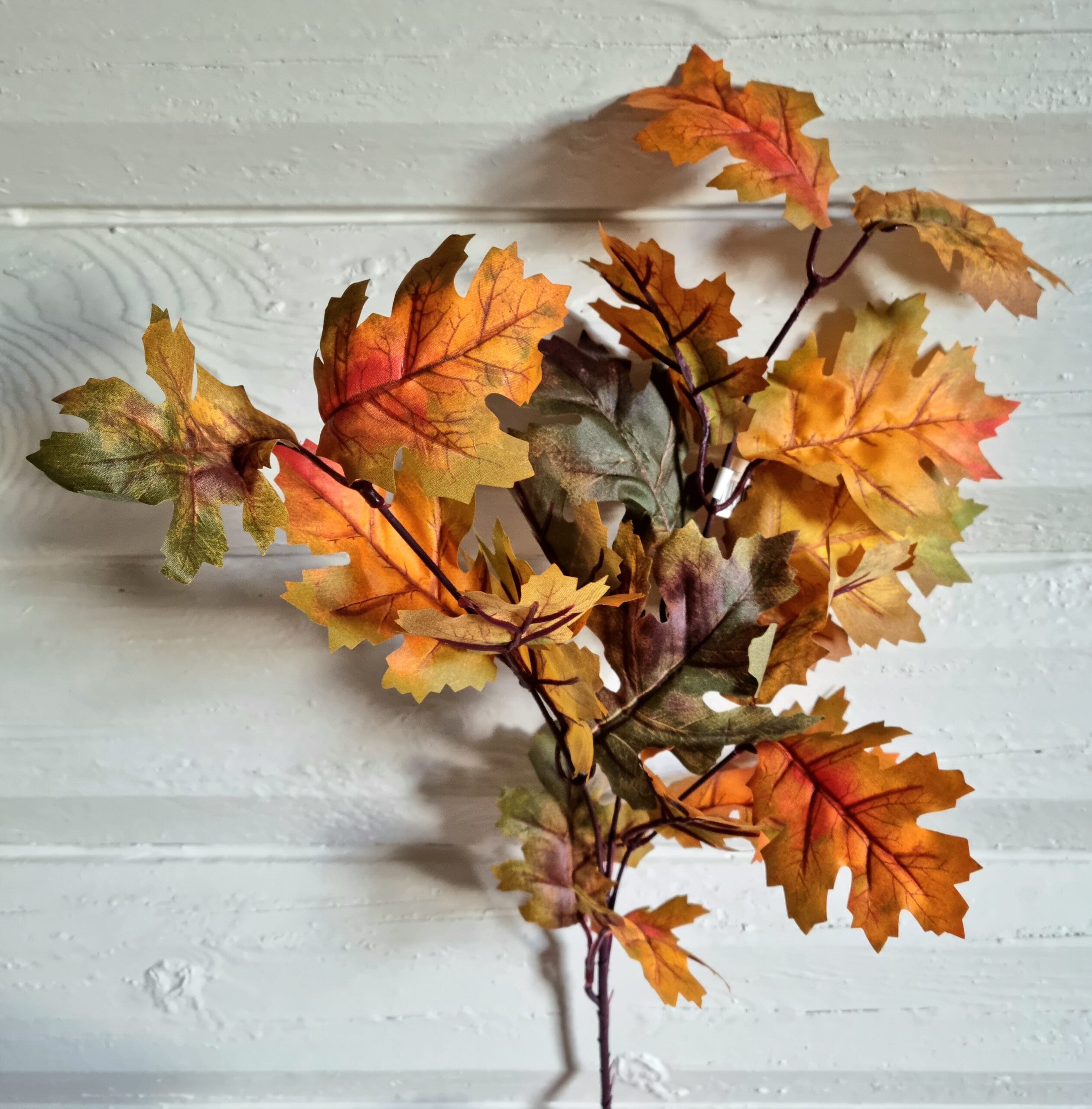 Smuk efterårs gren med skønne blade - flot og fyldig