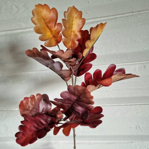 Flot rødbrun Egegren med agern