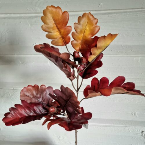 Flot rødbrun Egegren med agern