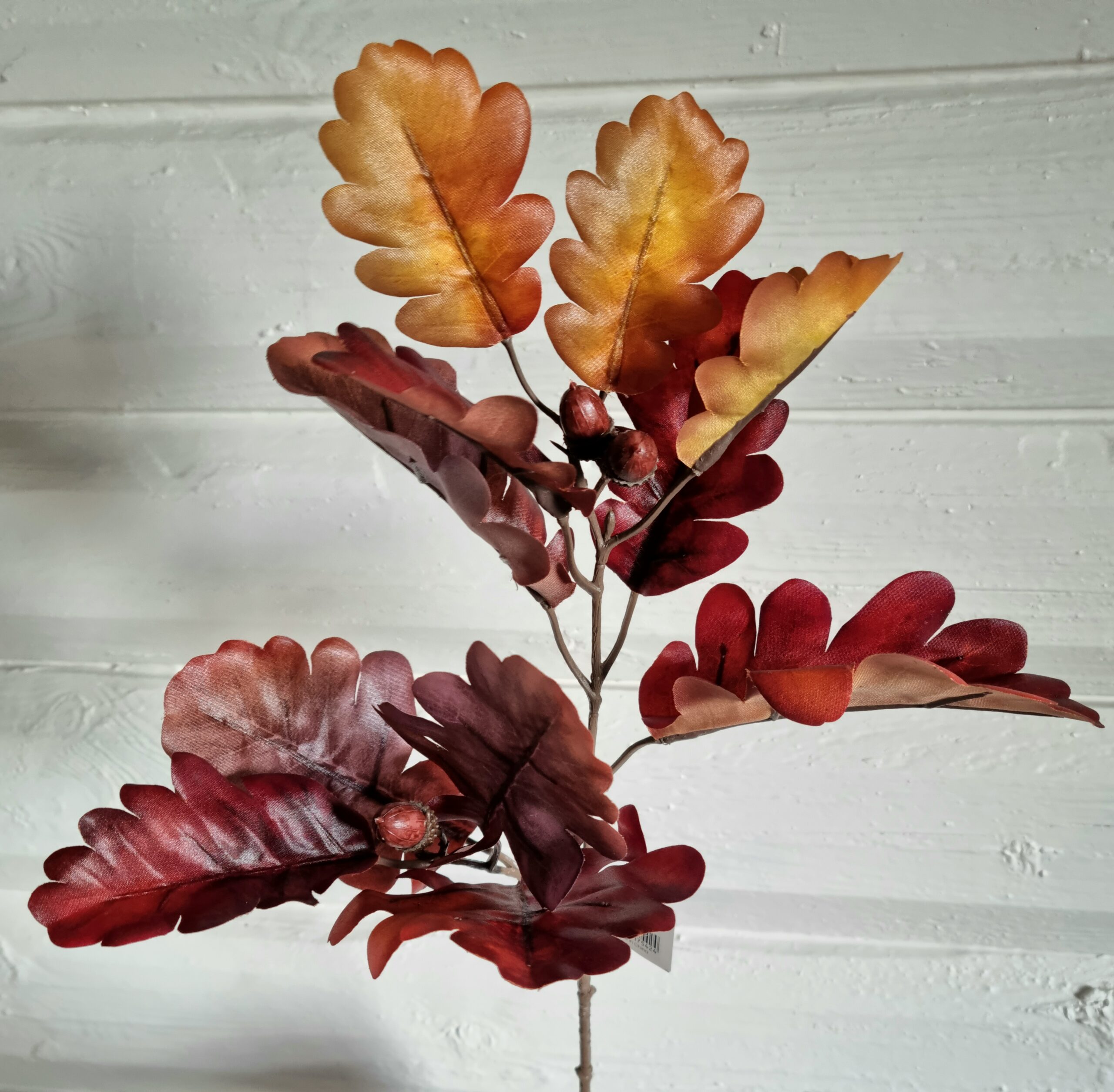 Flot rødbrun Egegren med agern