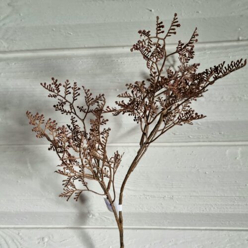 Limonium brun gren – flot rustik og fyldig