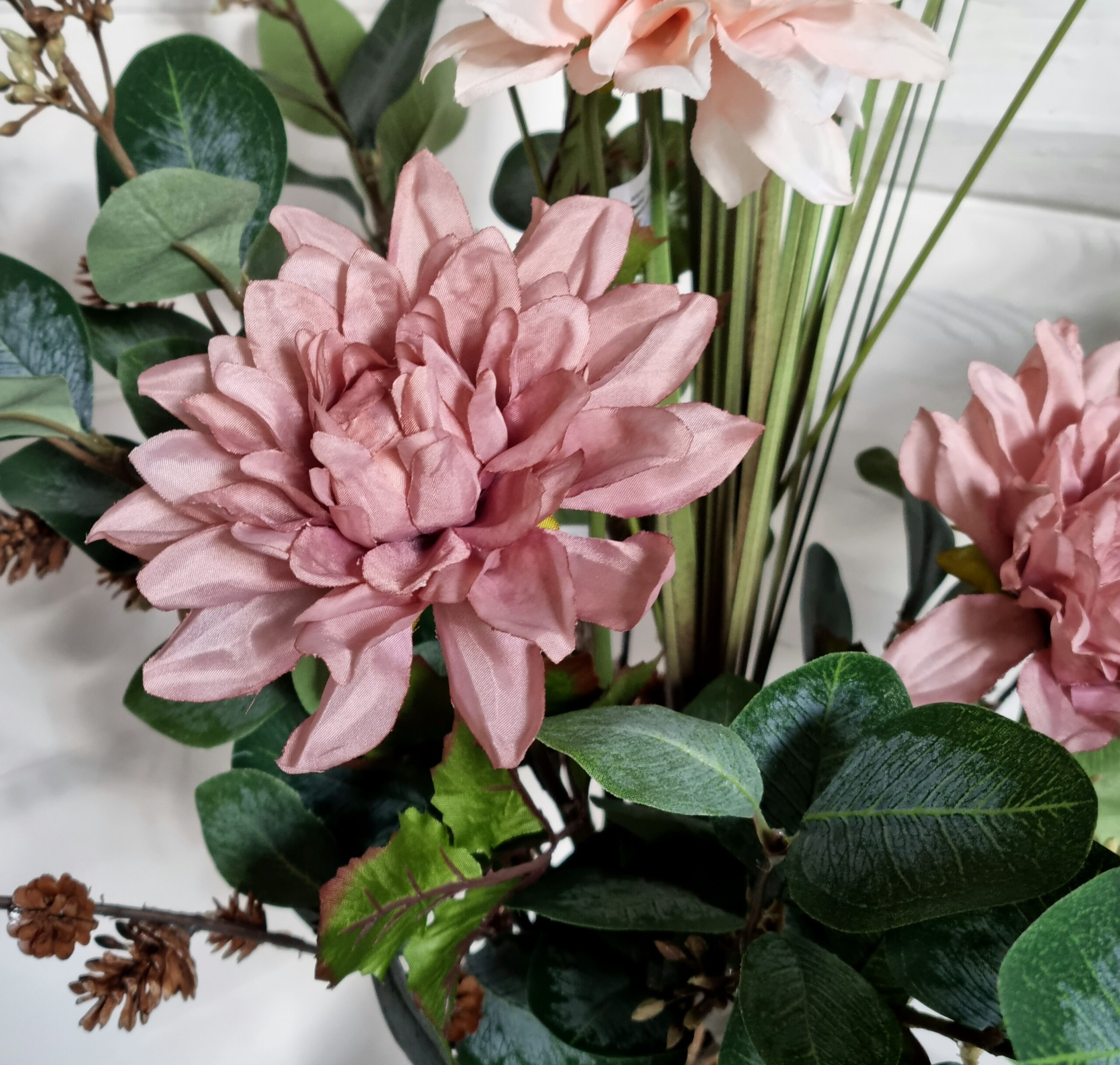 Dahlia fin gammelrosa