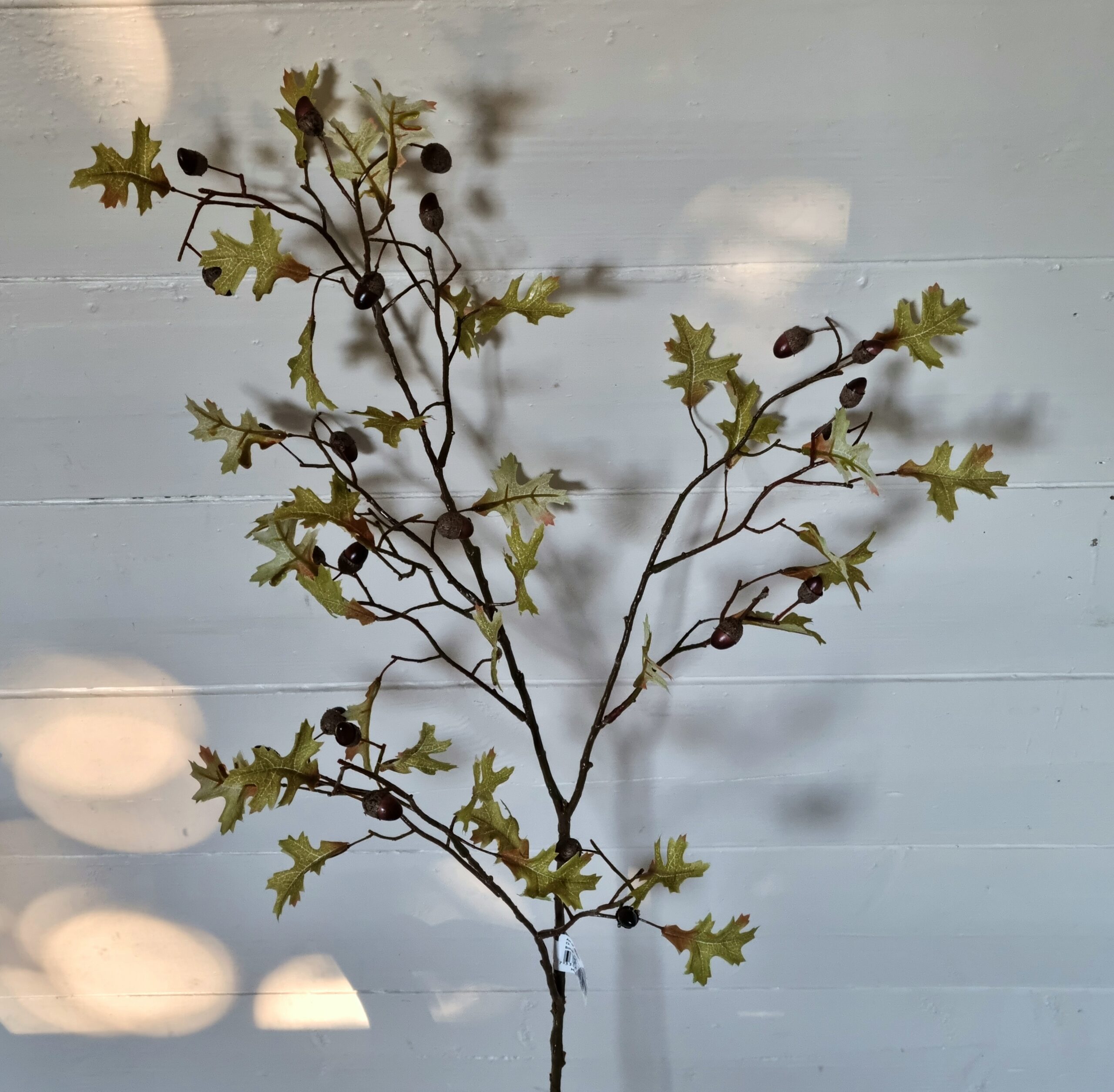 Flot fyldig og let Egegren med agern