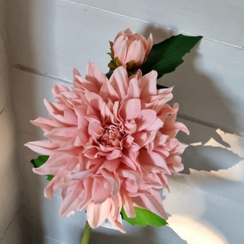 Dahlia Real Touch fersken med fine bløde blade