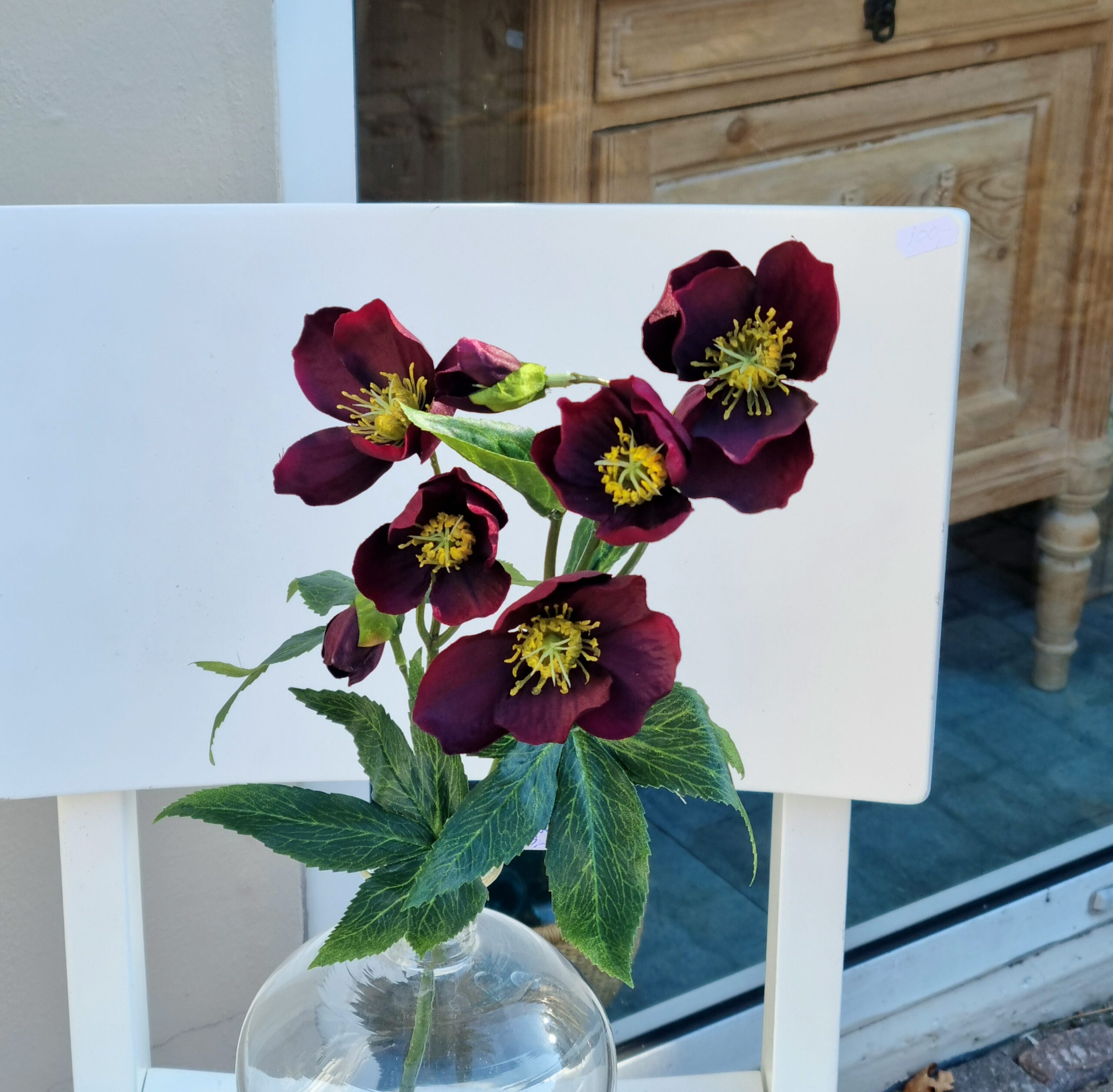 Smuk vinrød Vinterrose