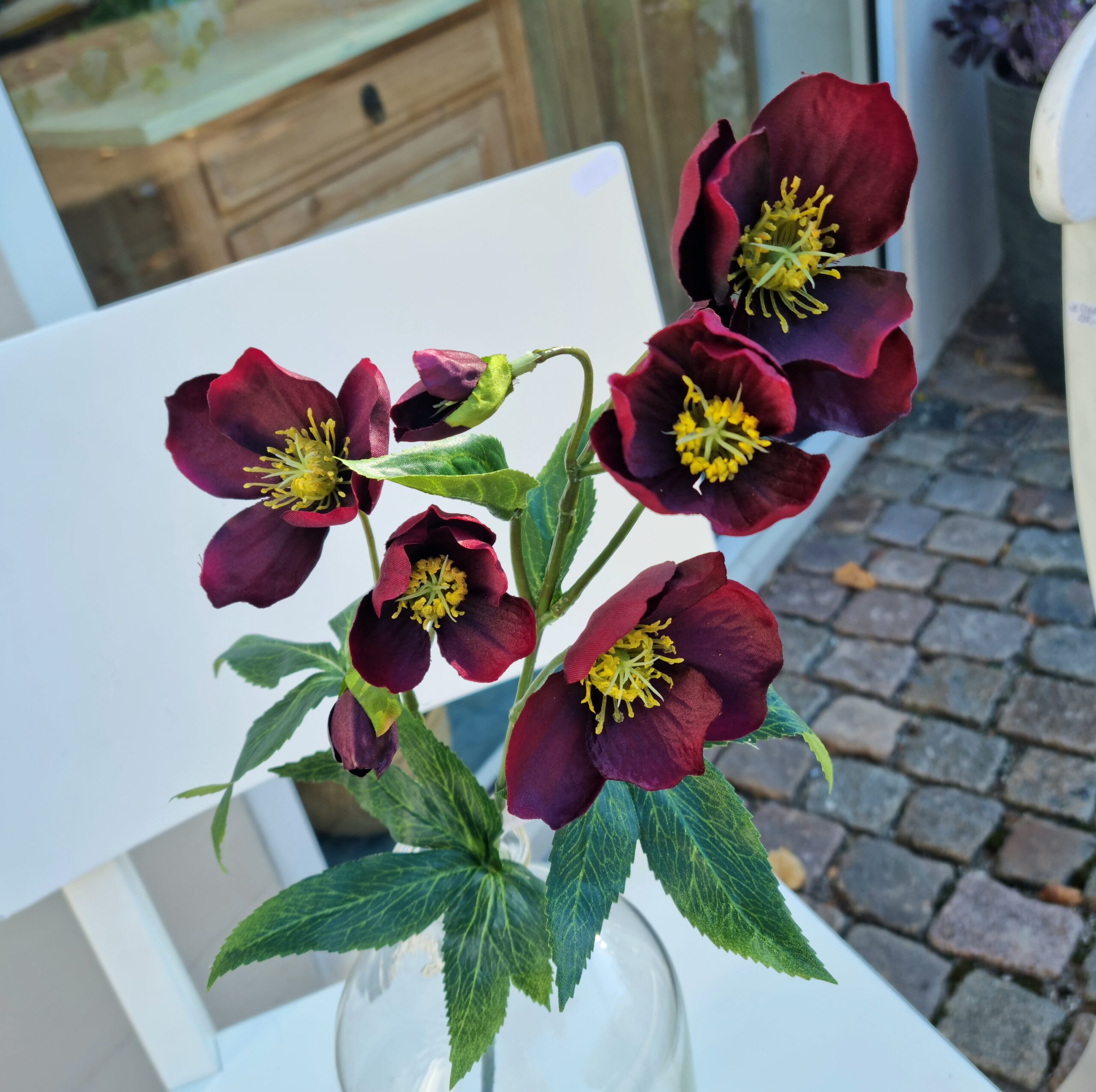 Smuk vinrød Vinterrose - flot flergrenet og fyldig