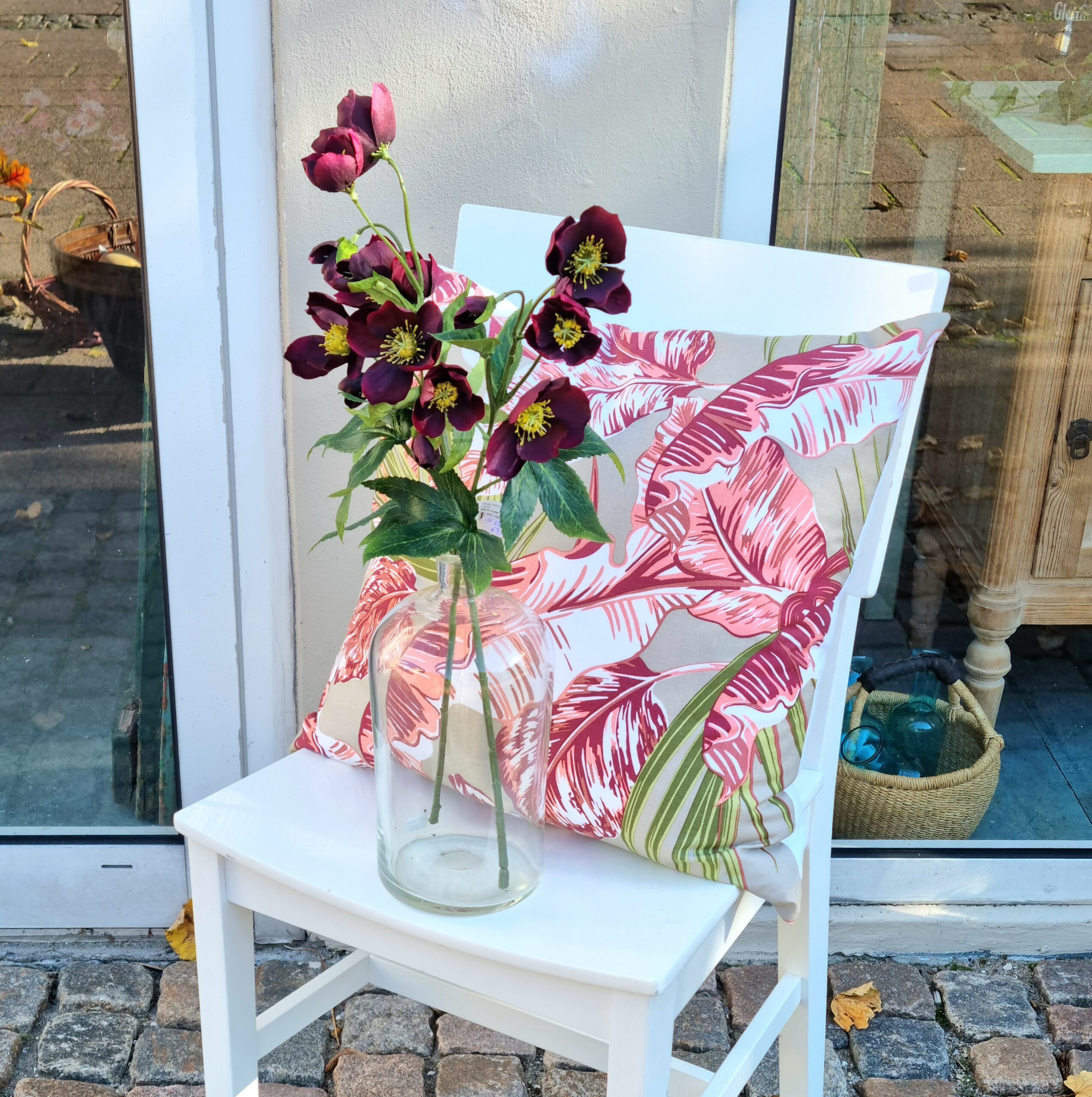 Smuk vinrød Vinterrose