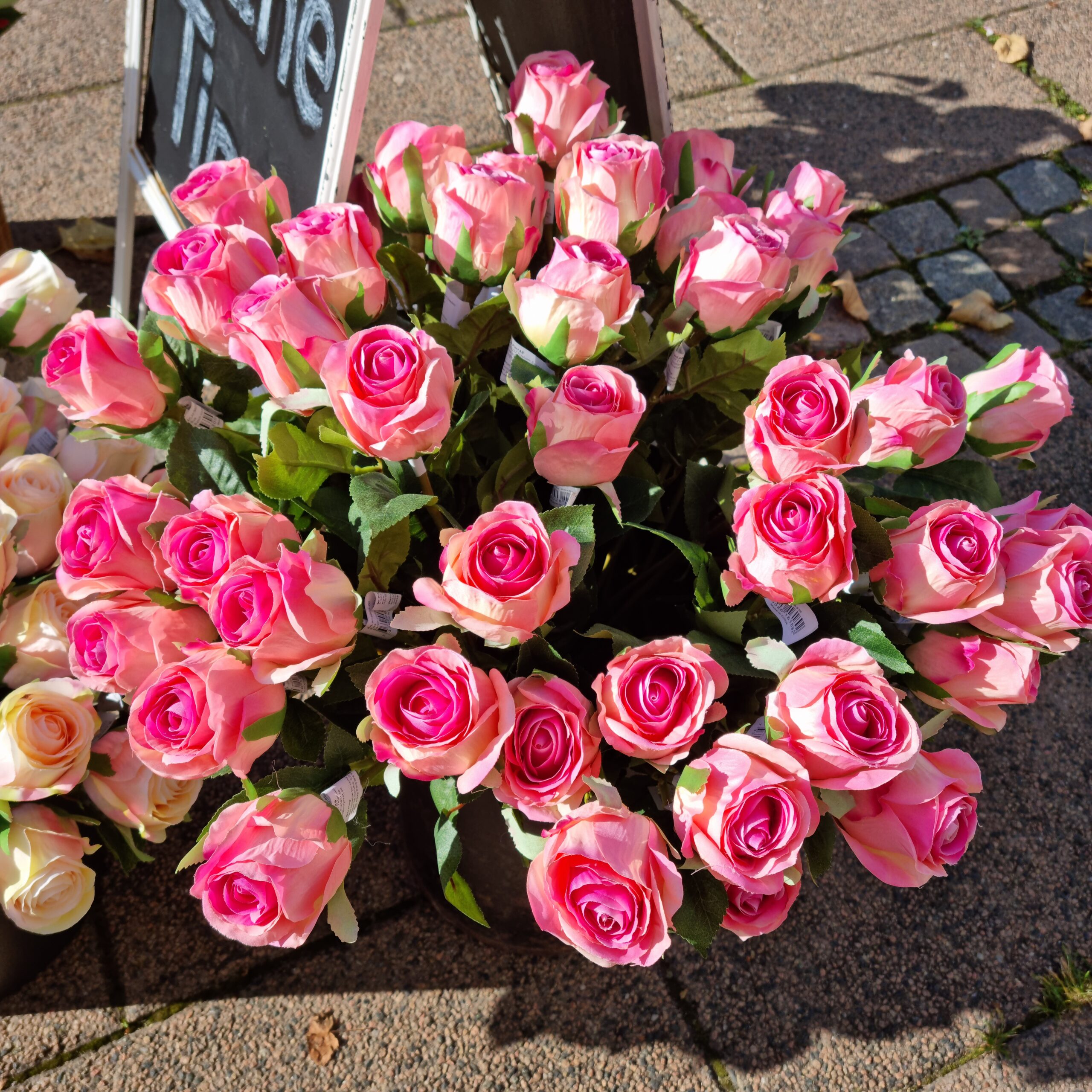 Rosa Roser - flotte langstilkede