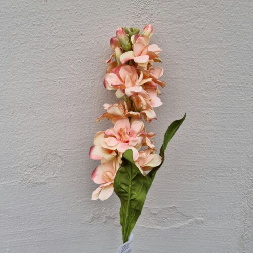 Flot Levkøj stilk – melon farvet med stort blomster hoved