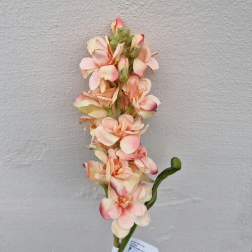 Flot Levkøj stilk – melon farvet med stort blomster hoved