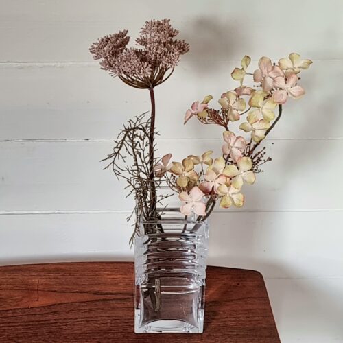 Hortensia gammelrosa med mange små blomster