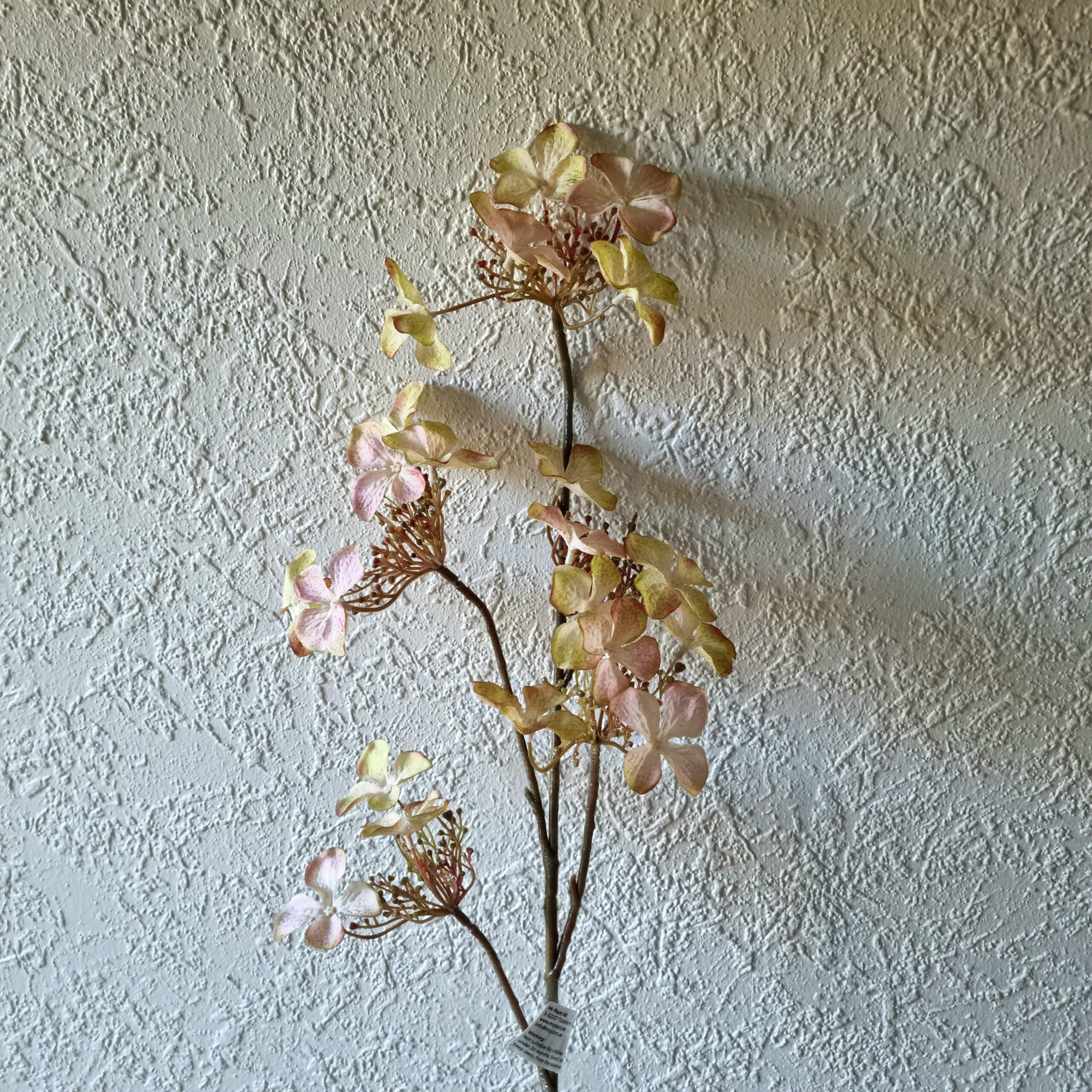 Hortensia gammelrosa med mange små blomster