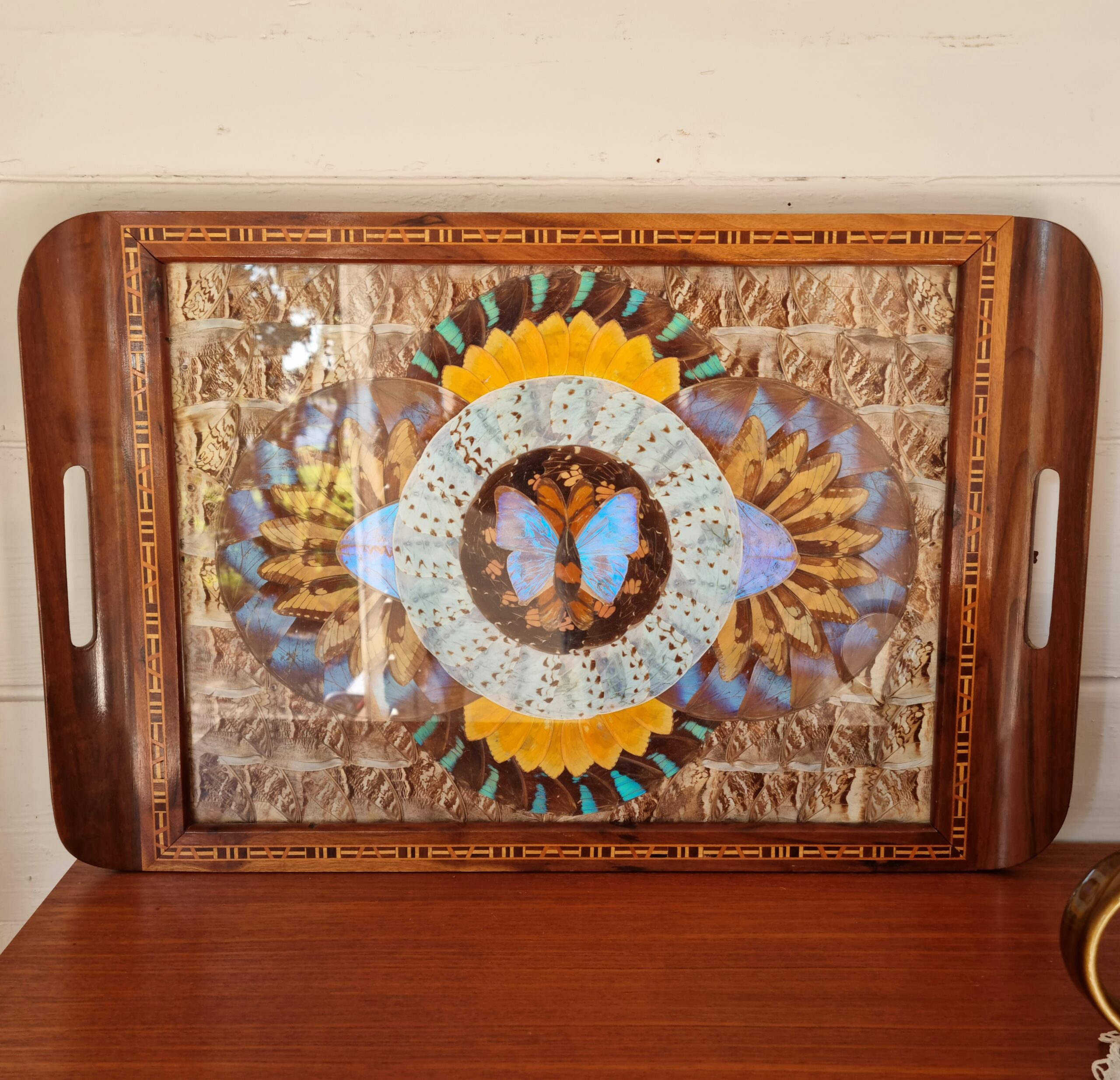 Flot vintage Sommerfugle bakke i flot stand