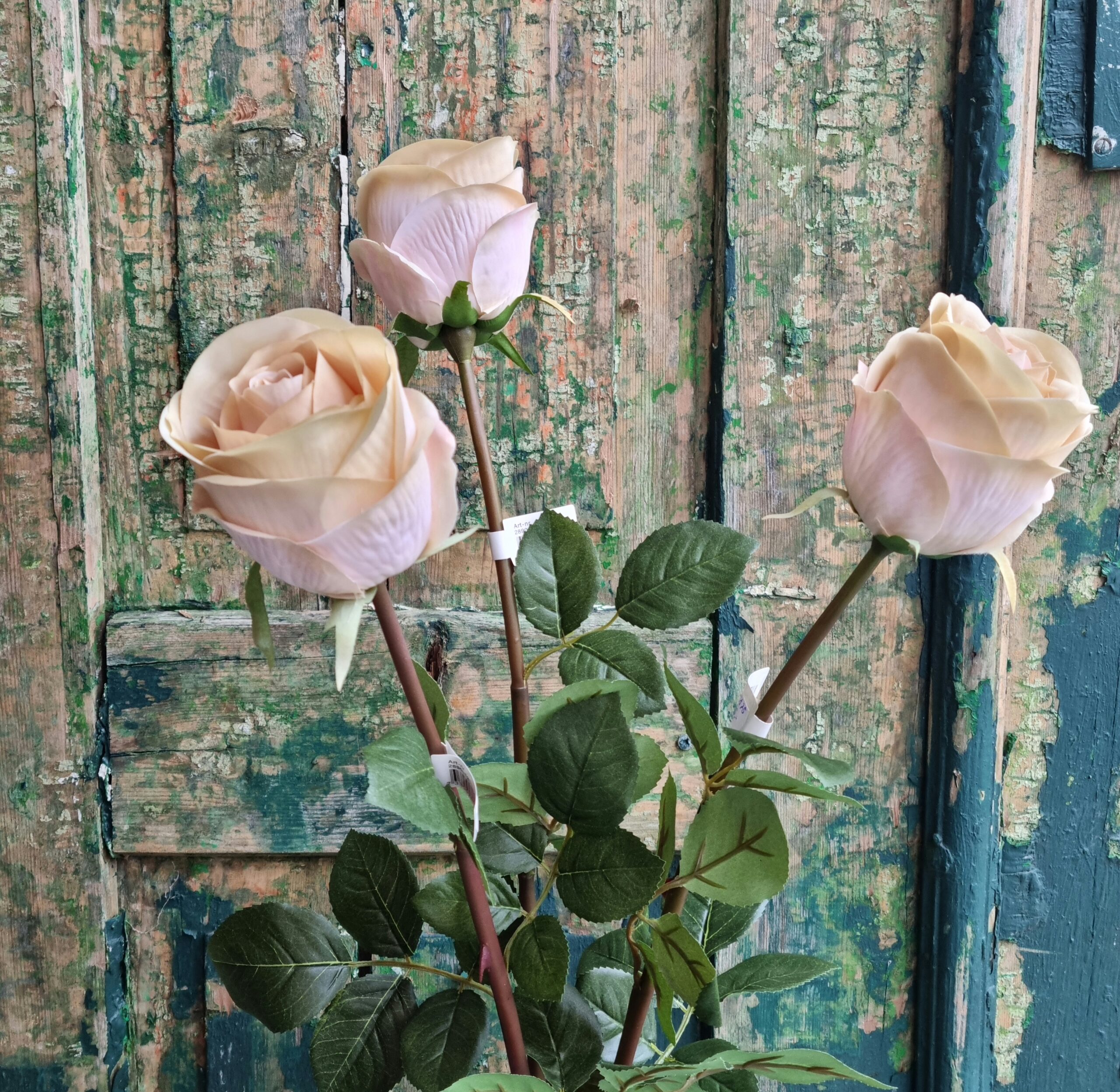 Smuk sart rosa / creme 75 cm