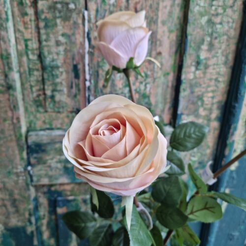 Smuk sart rosa / creme rose 75 cm – meget elegant