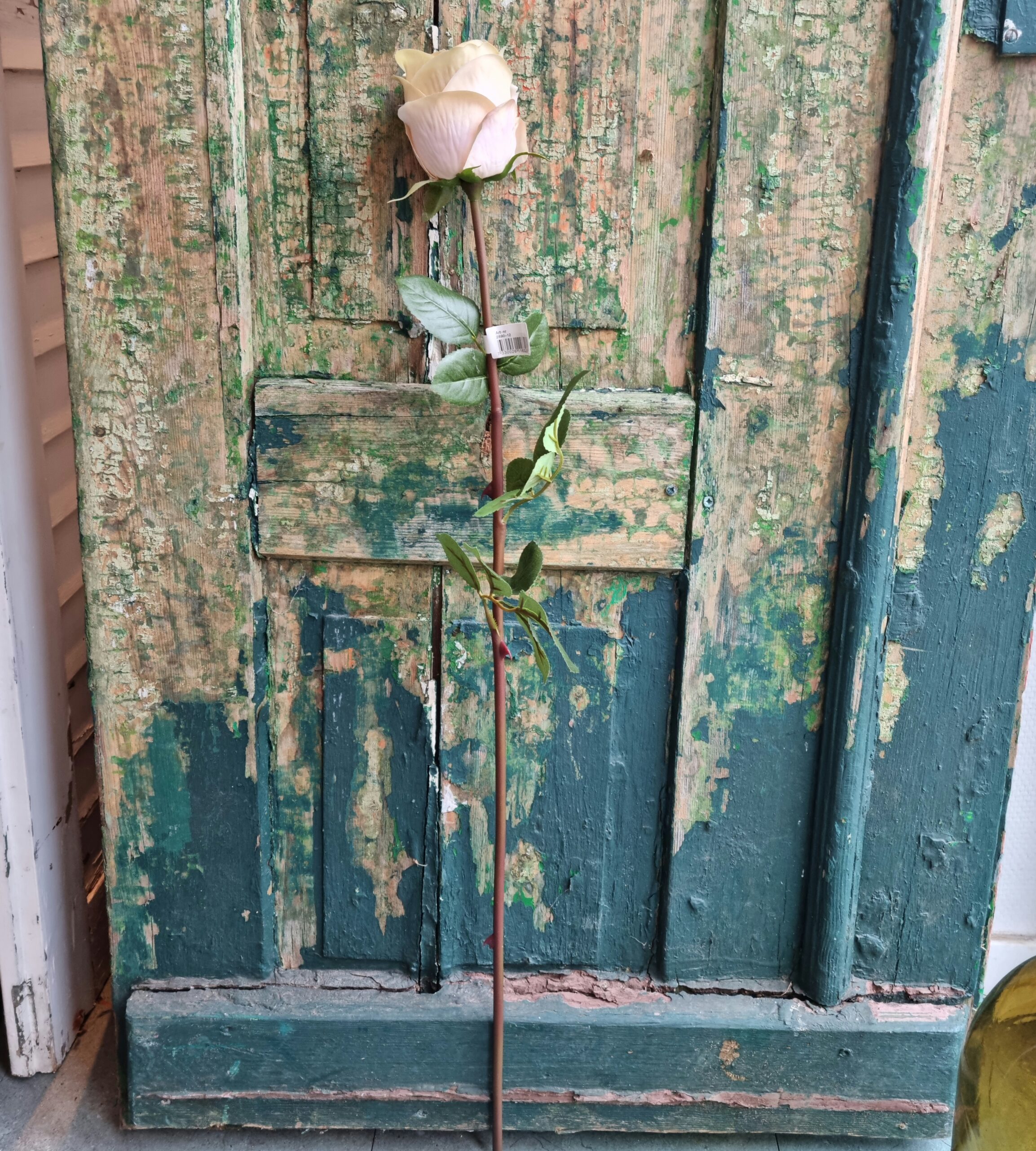 Smuk sart rosa / creme rose 75 cm