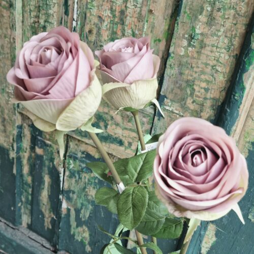 Smuk gammelrosa rose 75 cm – meget elegant